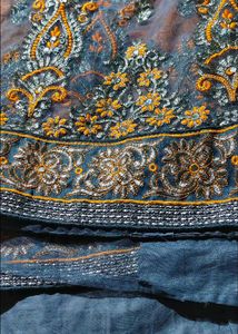 Designer saree and blouse