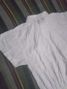 Classic White Polo T-Shirt