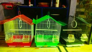 Cage Pijara