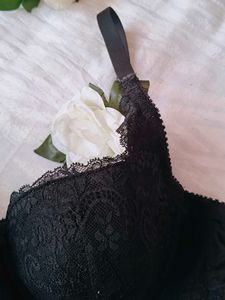 Very Beautiful Paded Net Bra With Penty
