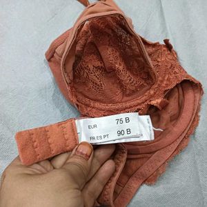 😍 Lace Trimmed Bra