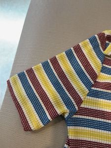 Classic striped multi color zara crop top