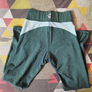 Thights/ Yoga Pant
