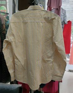 Striped Shirt