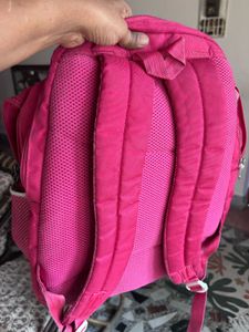 Skybags Pink Backpack