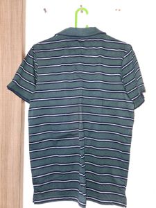 Striped Polo Shirt