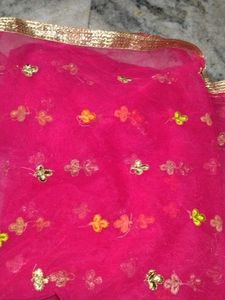Pink Embroidered Dupatta set of 2
