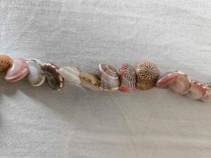 Unique Seashell Necklace