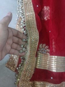 Designer Lehenga Choli Set