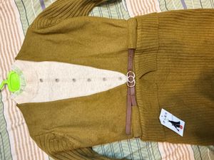 Elegant Knit Dress with Belt Detail New wit