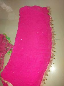Beautifully Pink Heavy Duppatas Full Length