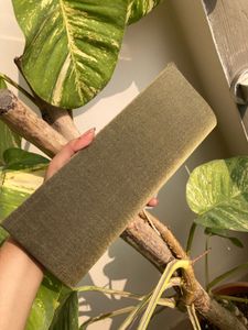 Olive Green Clutch with Gold Accent