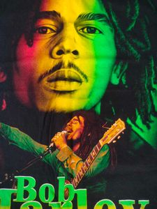 Single Stitched Bob Marley Double Hit Graphic Tee
