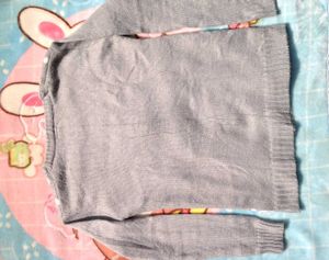 Cute Furry Dog Sweater Swap Possible
