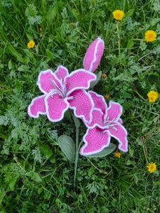 Handmade Crochet Pink Lily Flower