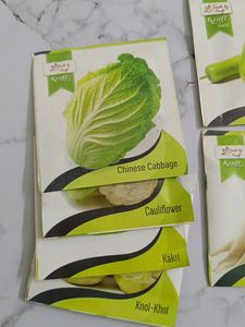 Seeds Of 15 Different Vegetables