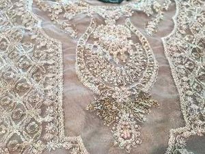 Designer Pakistani Party Wear Dress