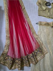 Elegant Lehenga Choli Set