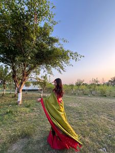 20 second couture saree