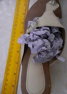 Beige Brown Slipper