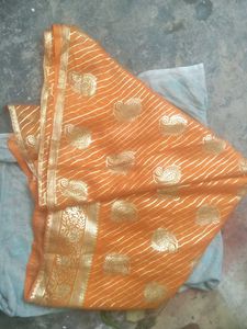 Vibrant Orange Saree with Gold Border