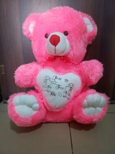 Pink 🩷 Super Soft Teddy