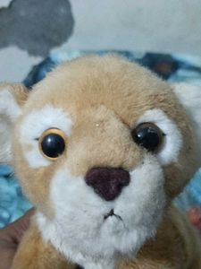 very soft toy baby lion