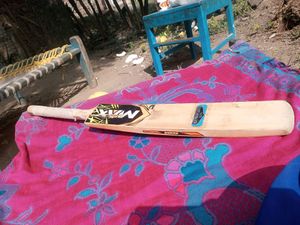 Cricket Bat