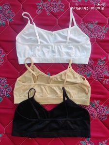 Seamless non Padded Bra- Pack Of 3