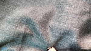 Grey Strip Pants