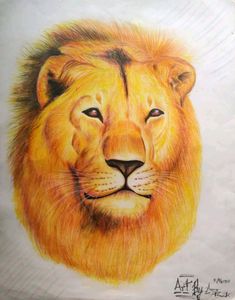 Lion Drawing