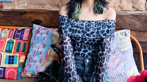 savana Leopard Print Off-Shoulder Mesh Top