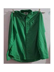 Green Men's Casual Shirt