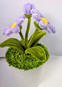 Cute Handcrafted Daisy Plant