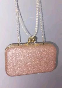 Sparkly Clutch - Perfect for Parties!