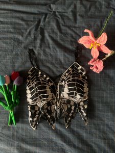 Unique Butterfly Bra Top