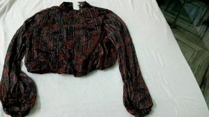 L/Xl