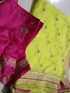Vibrant Saree with Embellished Blouse