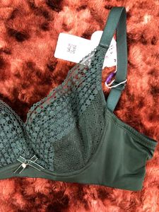 Green Lace Trimmed Bra