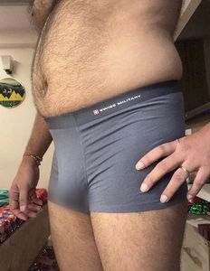 Swisswell Men's Boxer Briefs - Gray