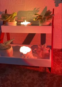 Seashell Candle Holders (Set of 2)