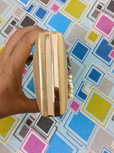 Clutch | Best Condition Purse