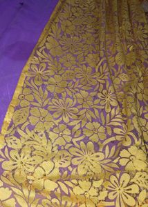 Beautiful saree Choli Set