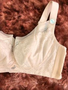 Lace Trimmed Full Coverage Bra