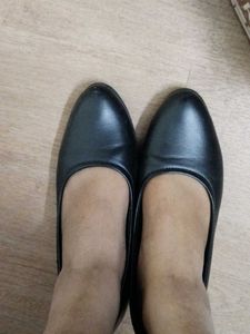 Black Bellies