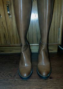 Delize Tan Knee High Boots