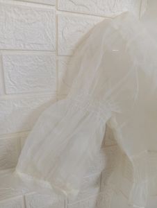 Sheer Puff Sleeve Square Neck Top