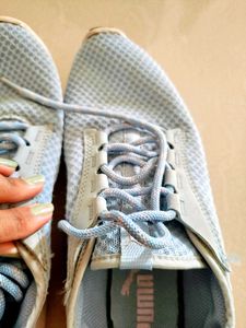 original Puma Blue Mesh Sneakers (used for trekkin