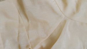 Cream saree with blouse