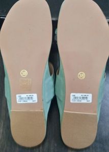 Inc. 5 New L. Green